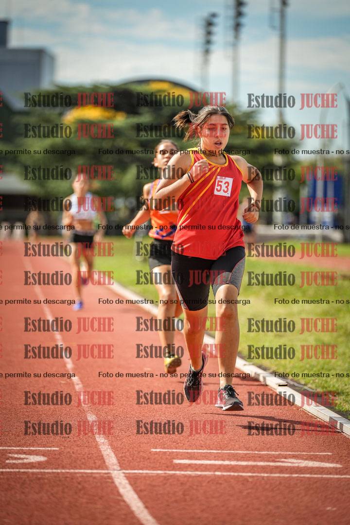 Fotos de los 800 m llanos de mujeres
