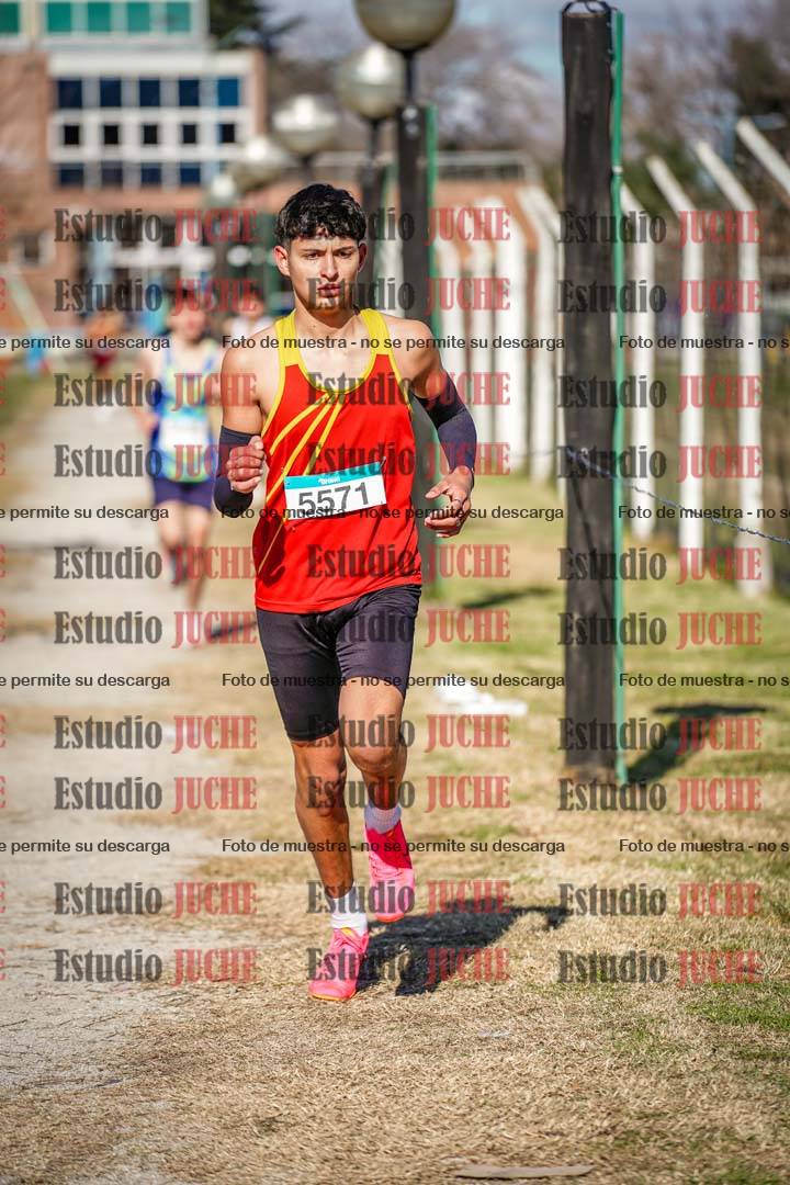 Fotos en el circuito