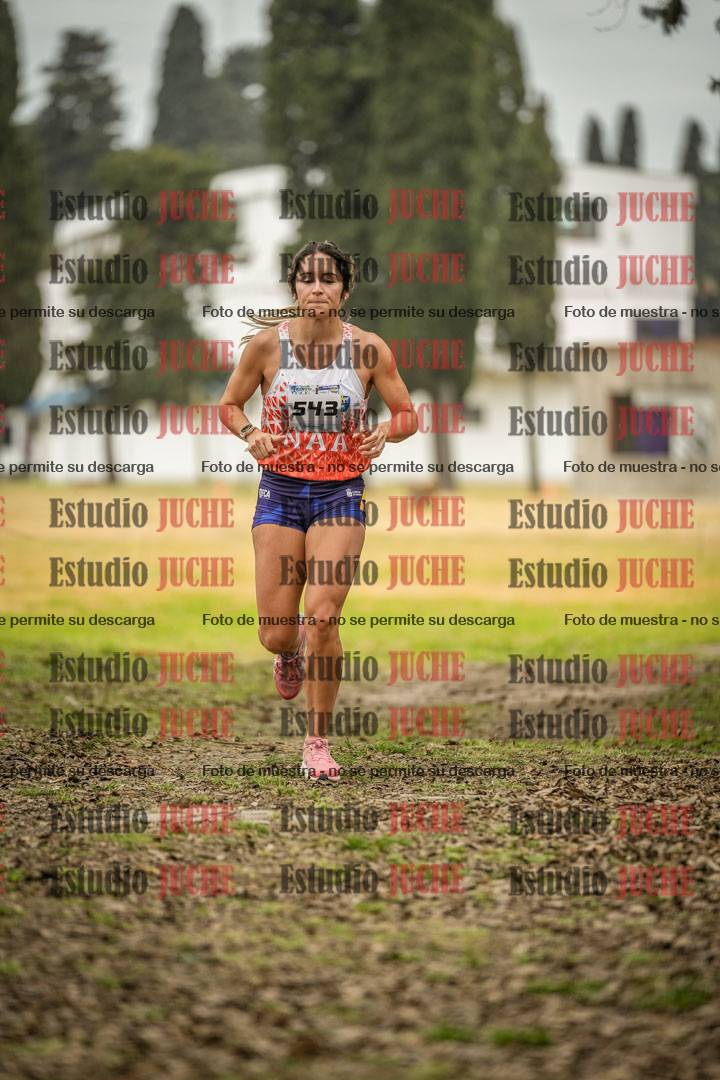 Fotos en el circuito
