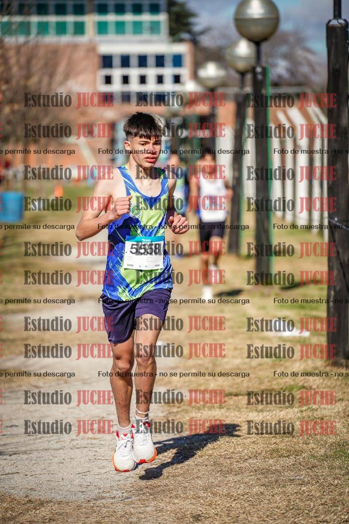 Fotos en el circuito