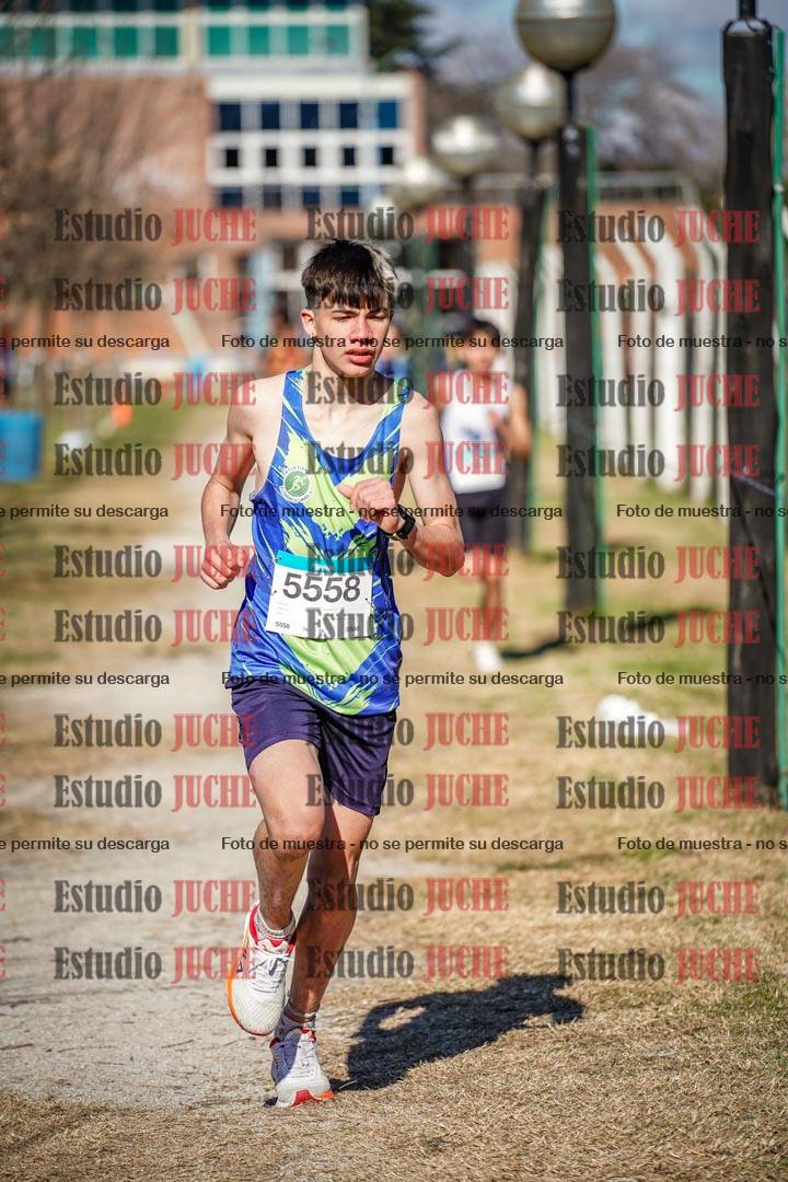 Fotos en el circuito