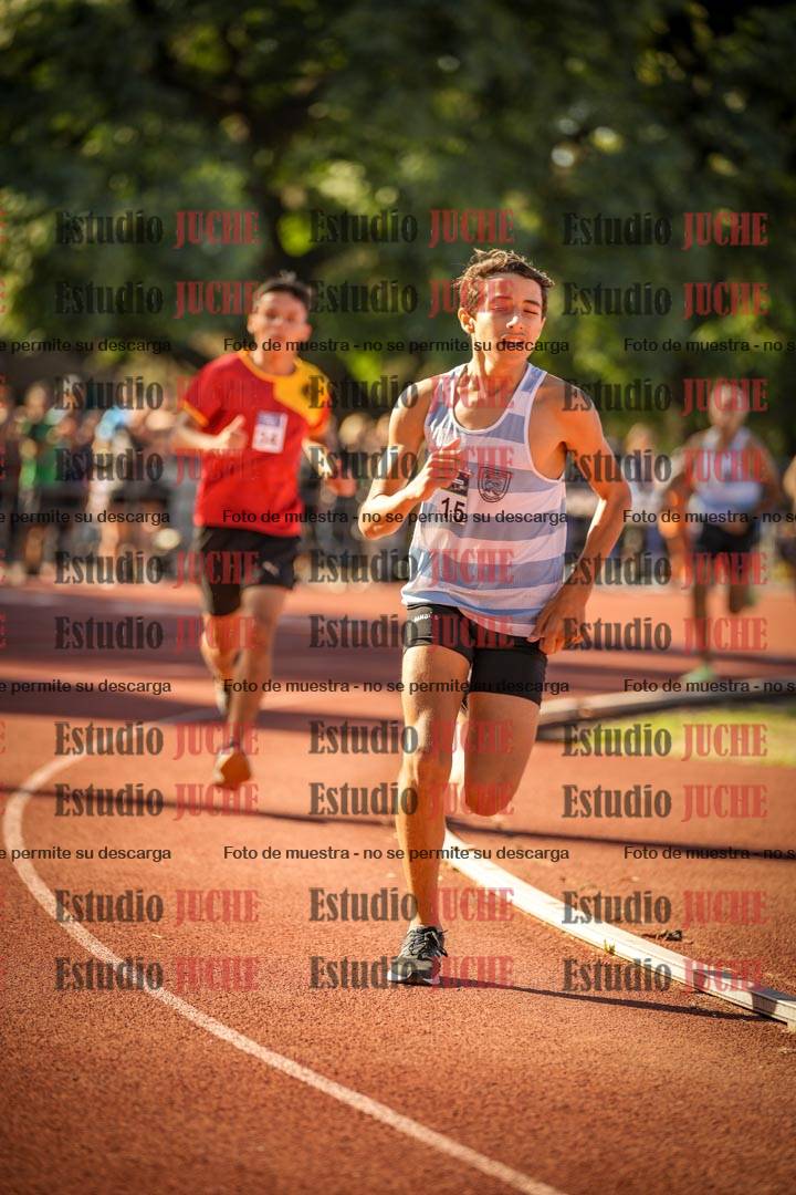 Fotos de los 800 m llanos de varones
