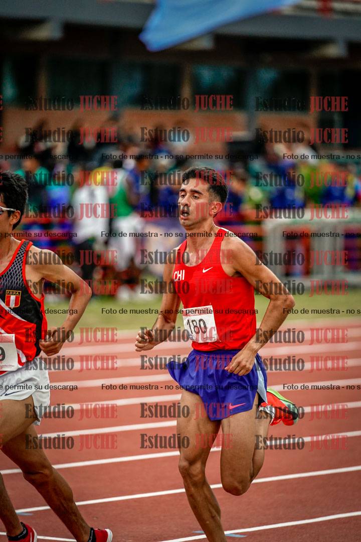 Fotos de los 10.000 m llanos de varones