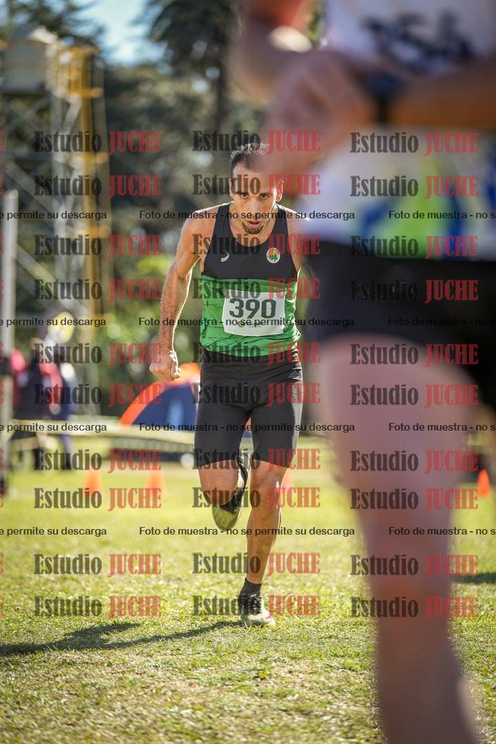 Fotos de la llegada del cross de 8000 m