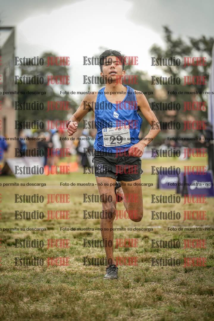 Fotos de la llegada