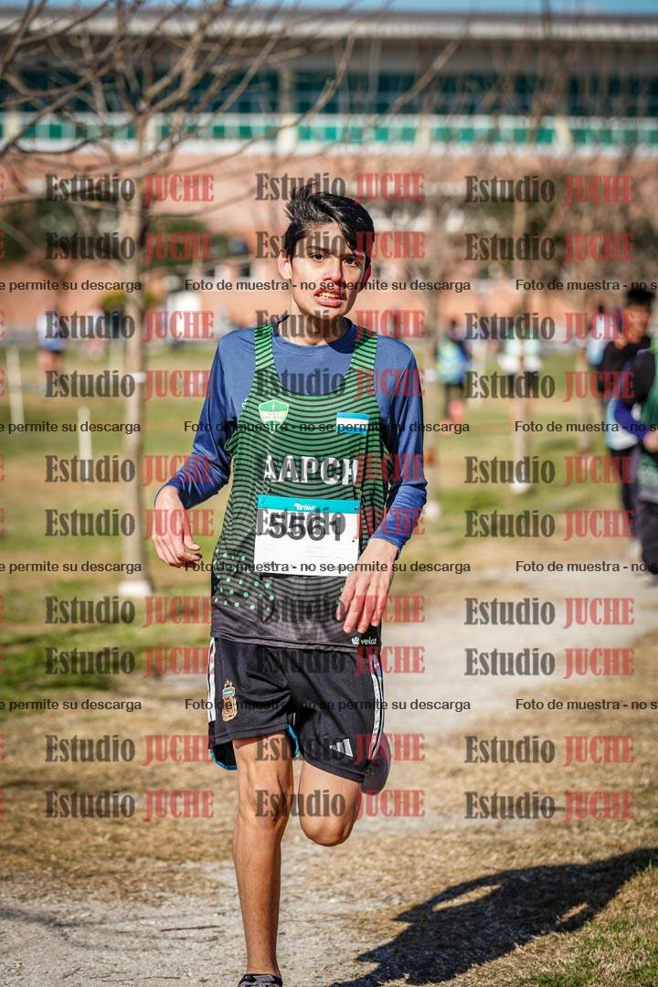 Fotos en el circuito