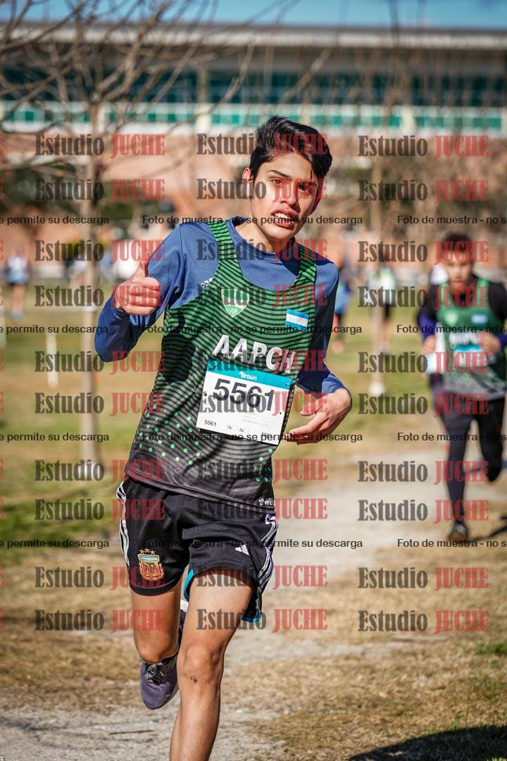 Fotos en el circuito