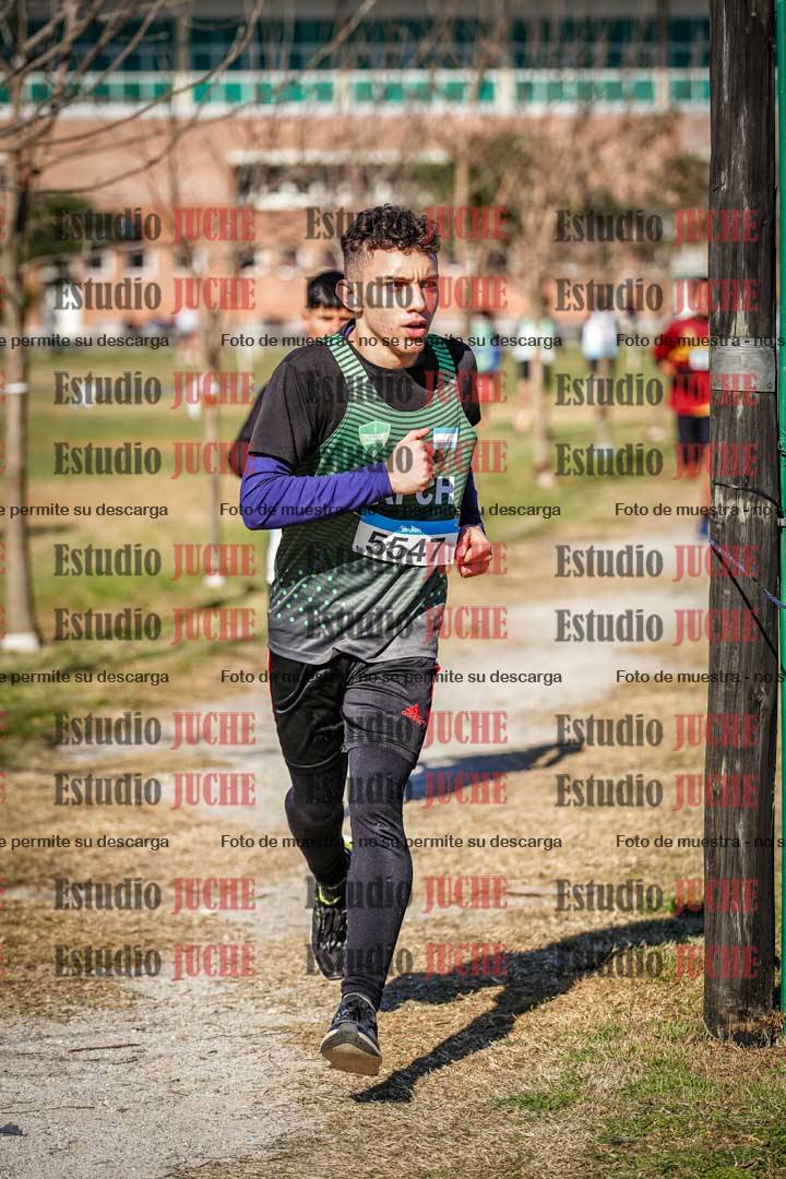 Fotos en el circuito