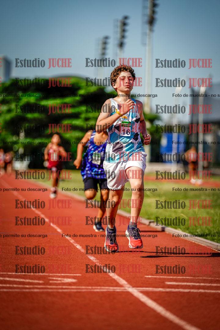Fotos de los 1000 m llanos de varones