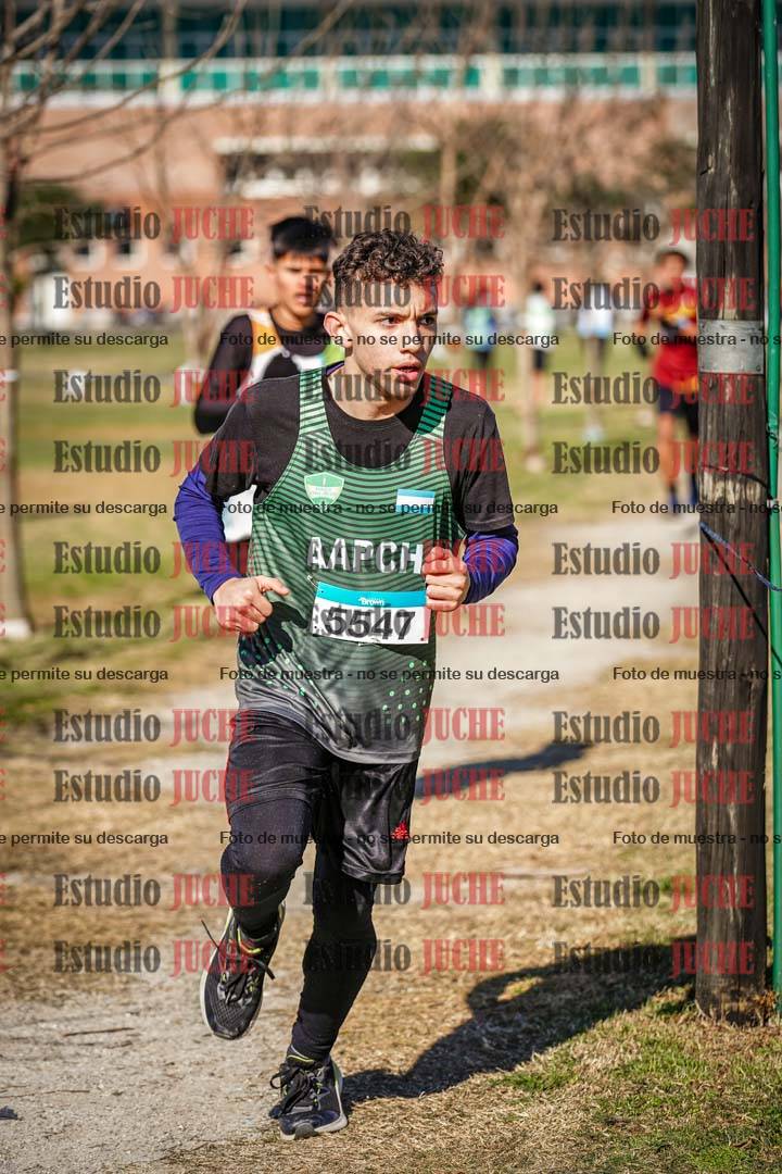 Fotos en el circuito