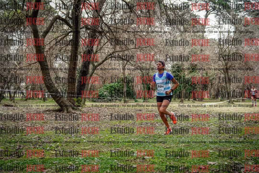 Fotos en el circuito