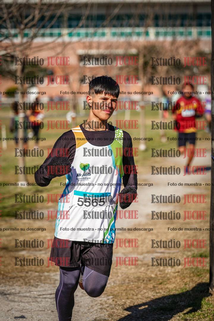 Fotos en el circuito