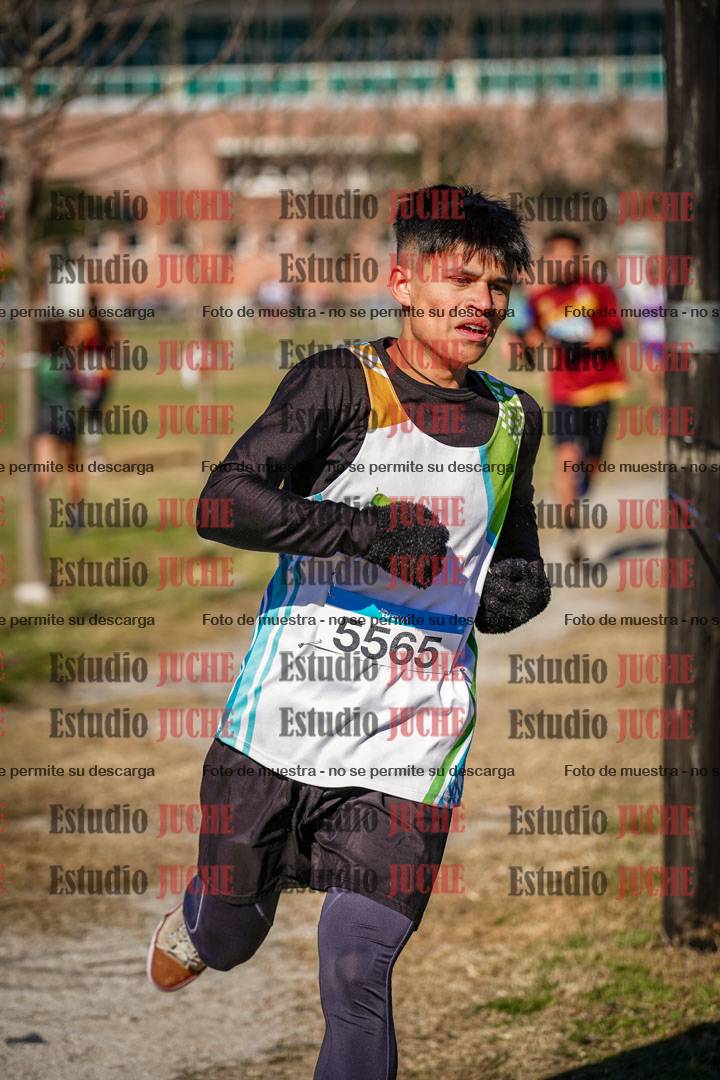 Fotos en el circuito