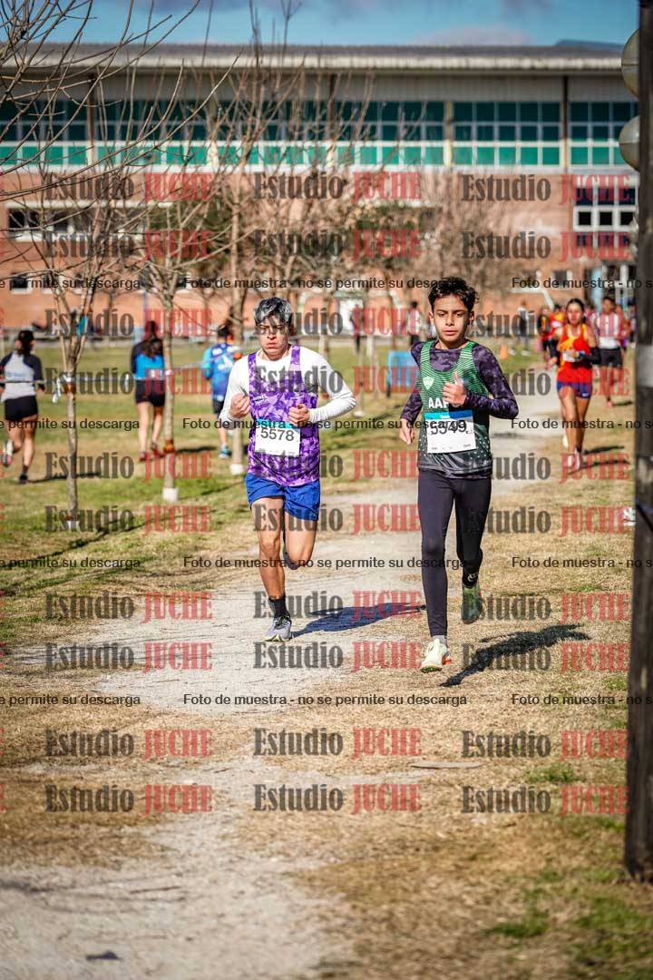 Fotos en el circuito