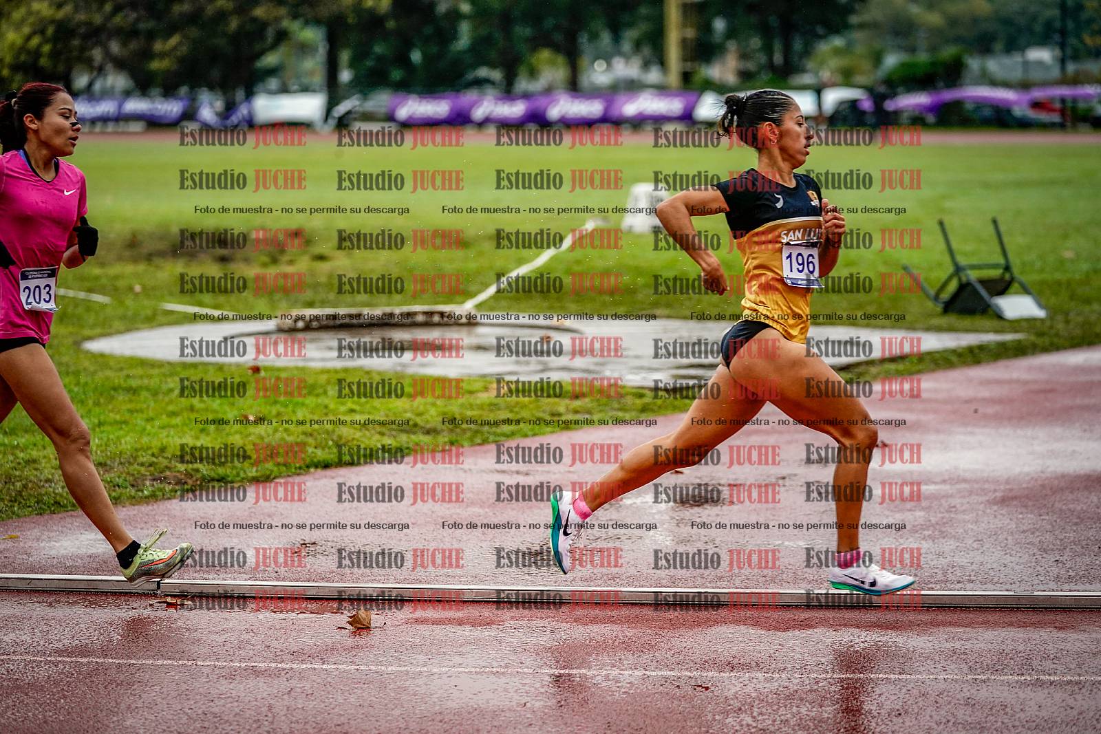 Fotos de los 1500 m llanos de mujeres