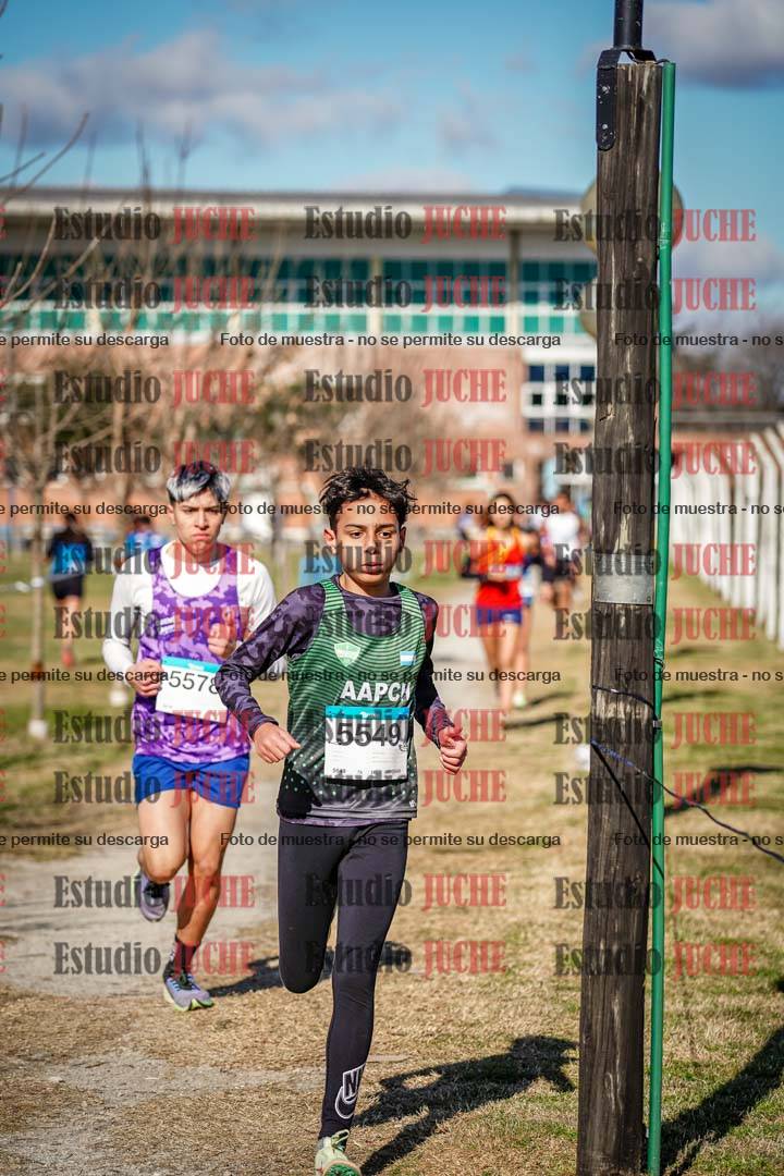Fotos en el circuito