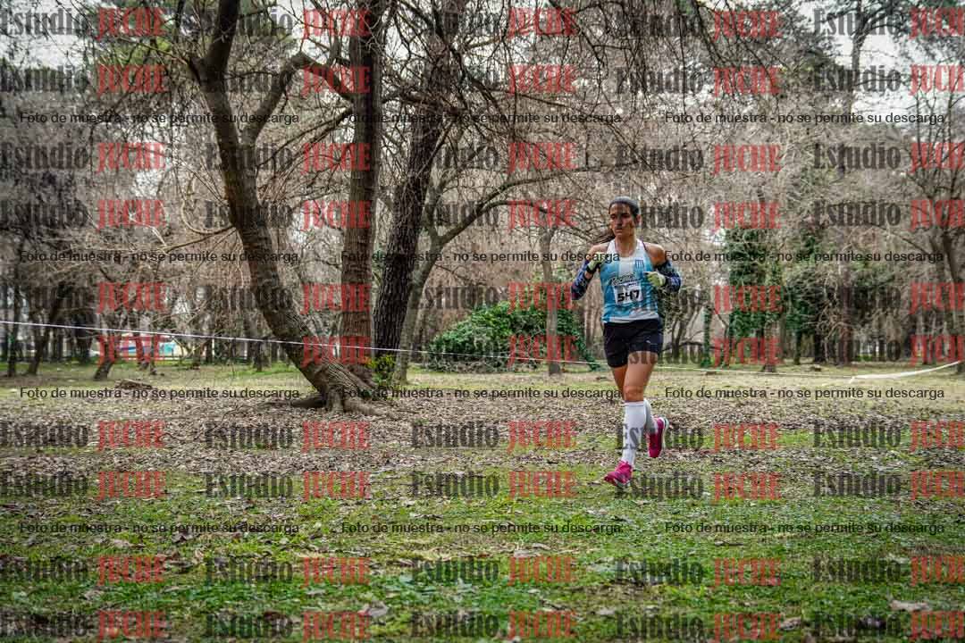 Fotos en el circuito