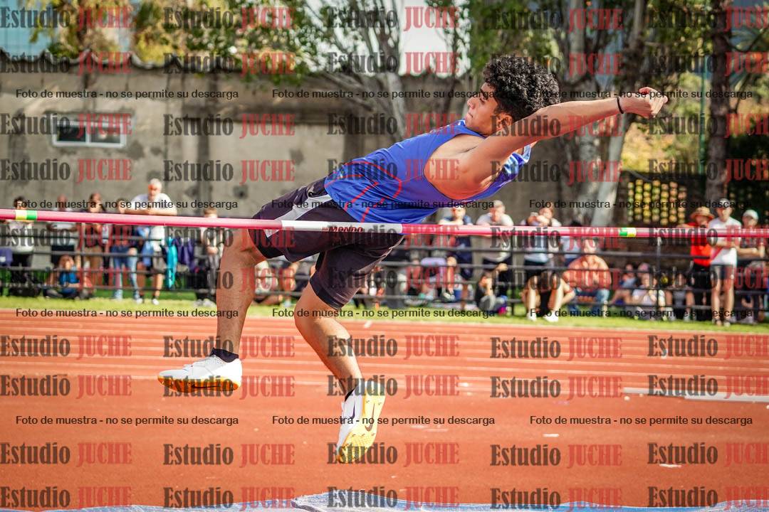 Fotos del salto en alto de varones