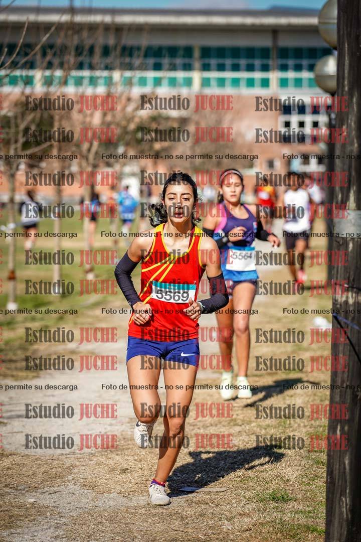 Fotos en el circuito