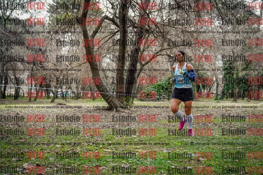 Fotos en el circuito