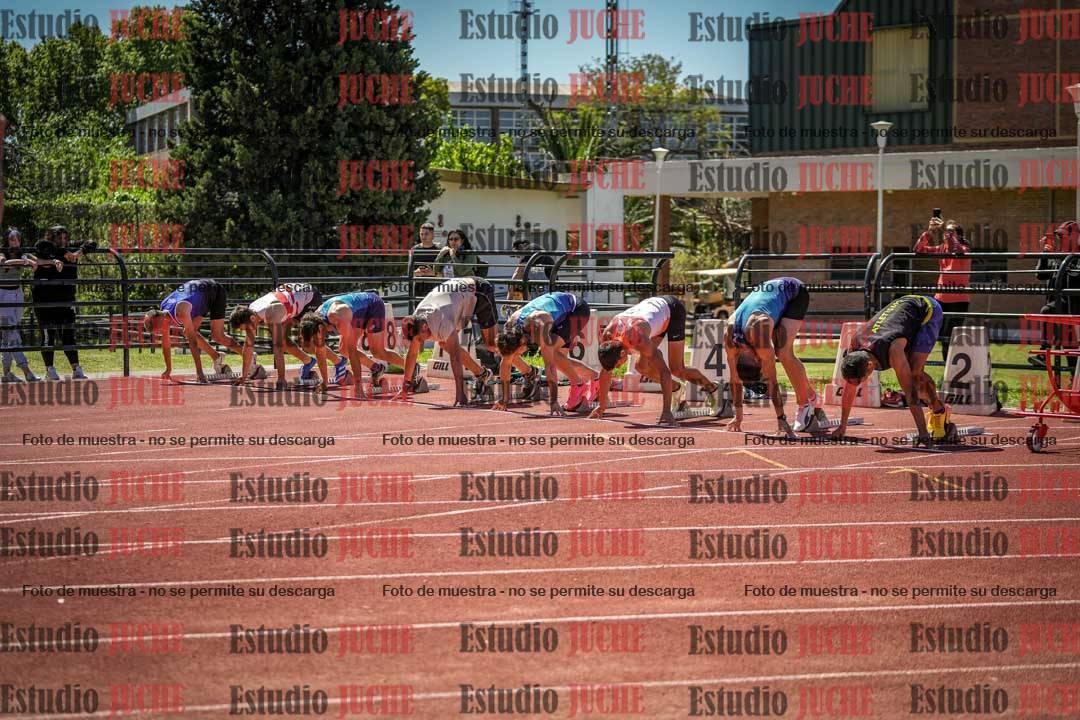 Fotos de los 110 m con vallas de varones
