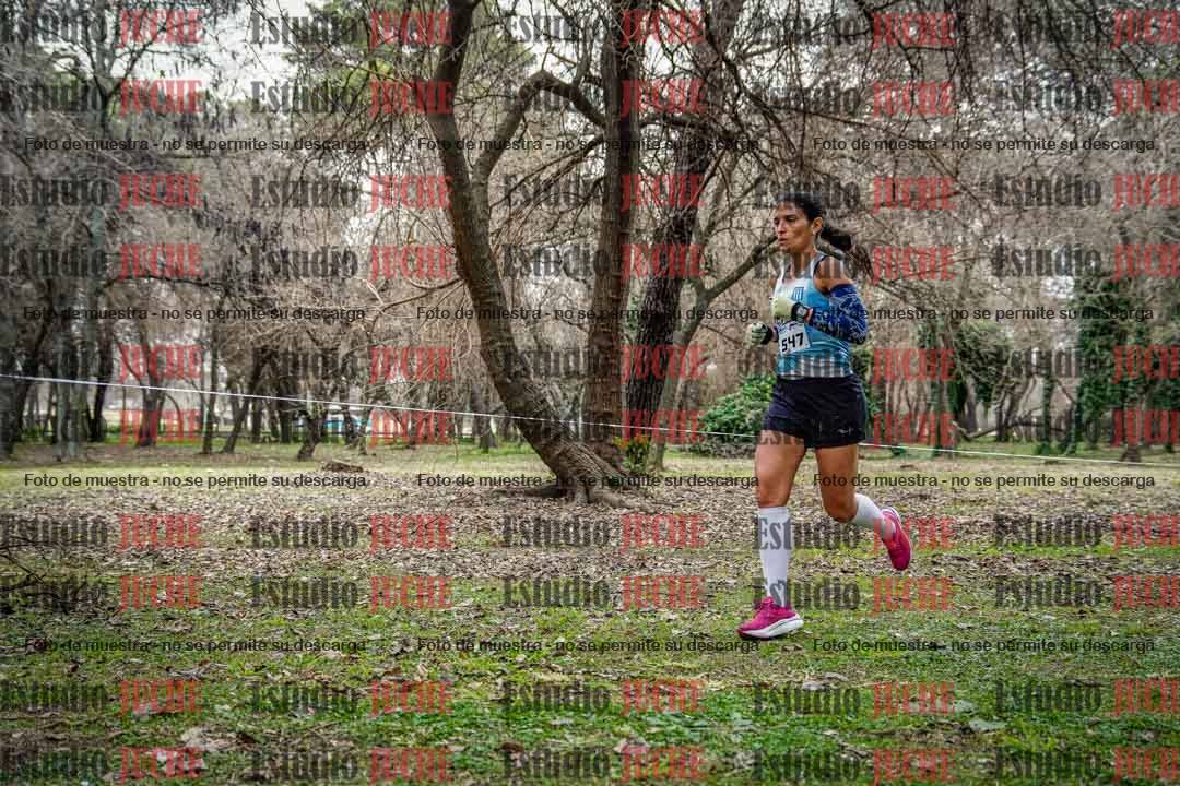 Fotos en el circuito