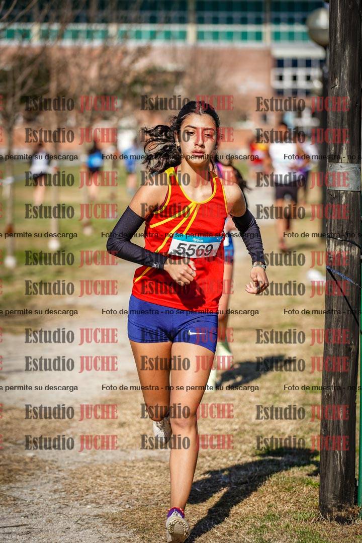 Fotos en el circuito