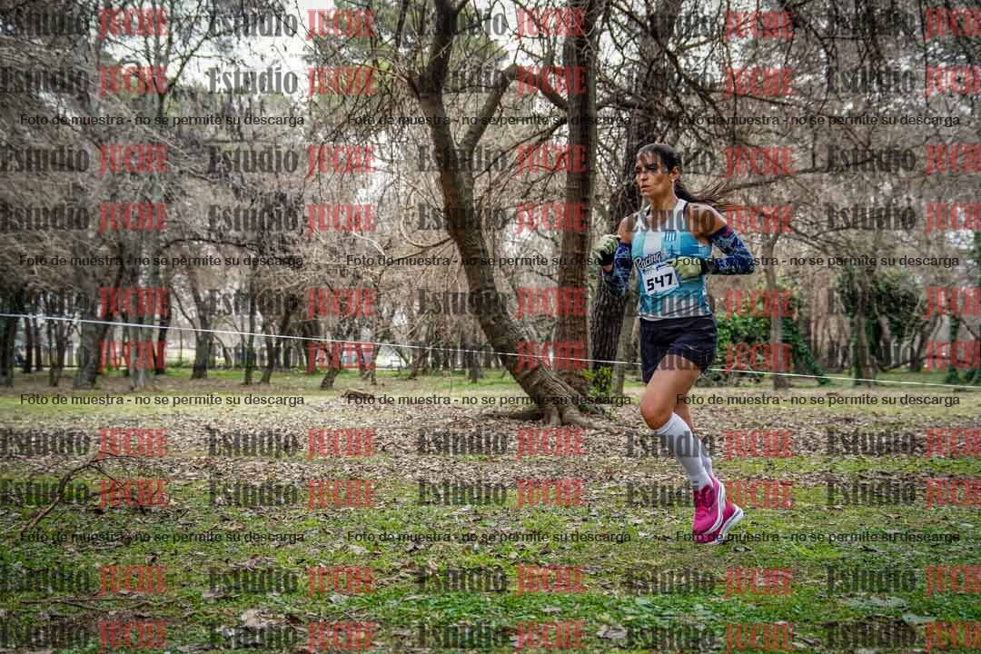 Fotos en el circuito