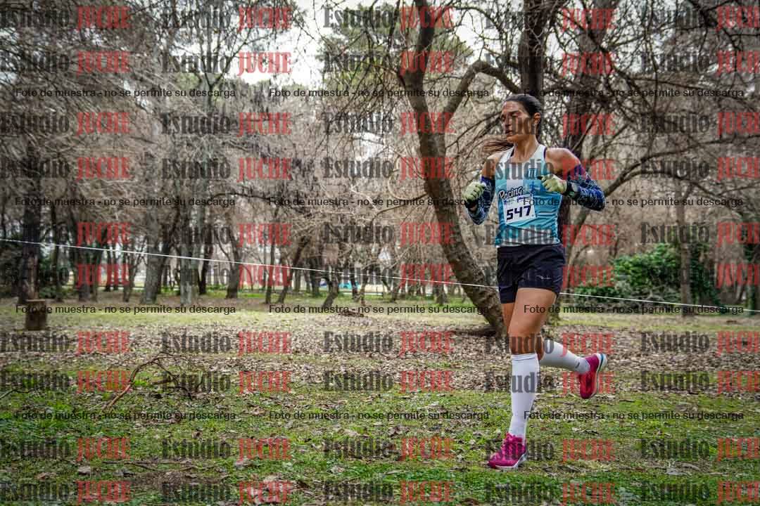 Fotos en el circuito
