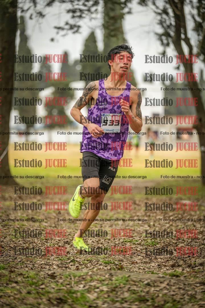 Fotos en el circuito
