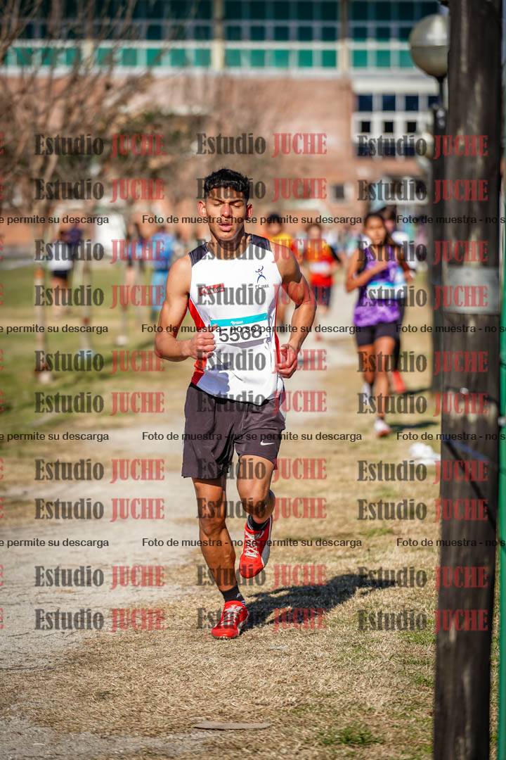 Fotos en el circuito