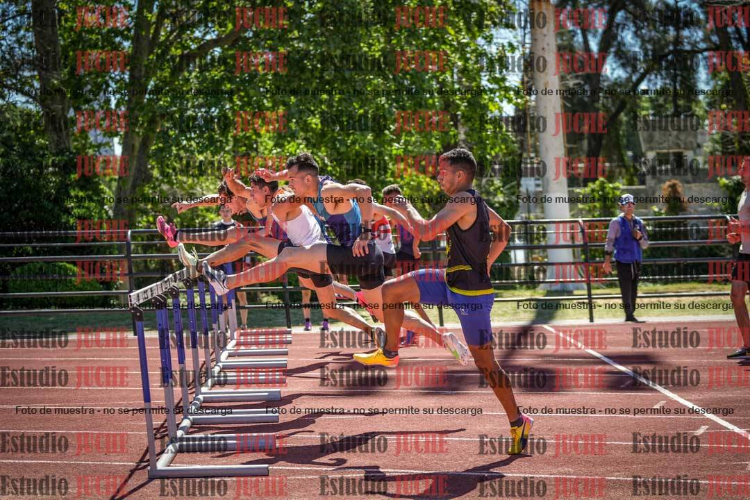 Fotos de los 110 m con vallas de varones