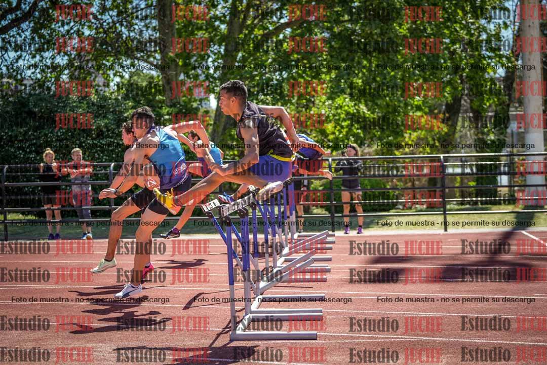 Fotos de los 110 m con vallas de varones