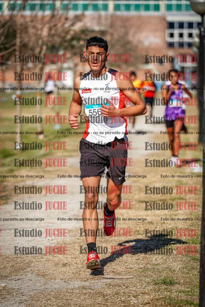 Fotos en el circuito