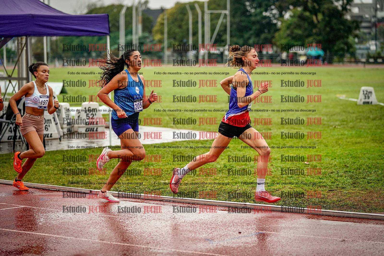Fotos de los 1500 m llanos de mujeres