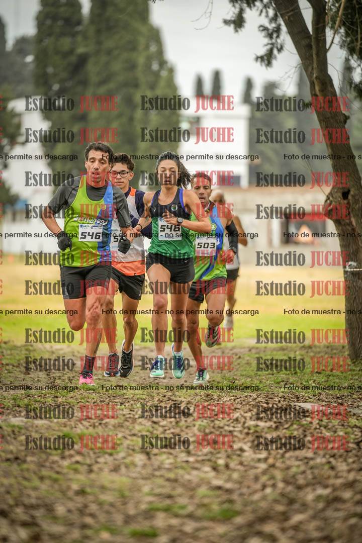 Fotos en el circuito