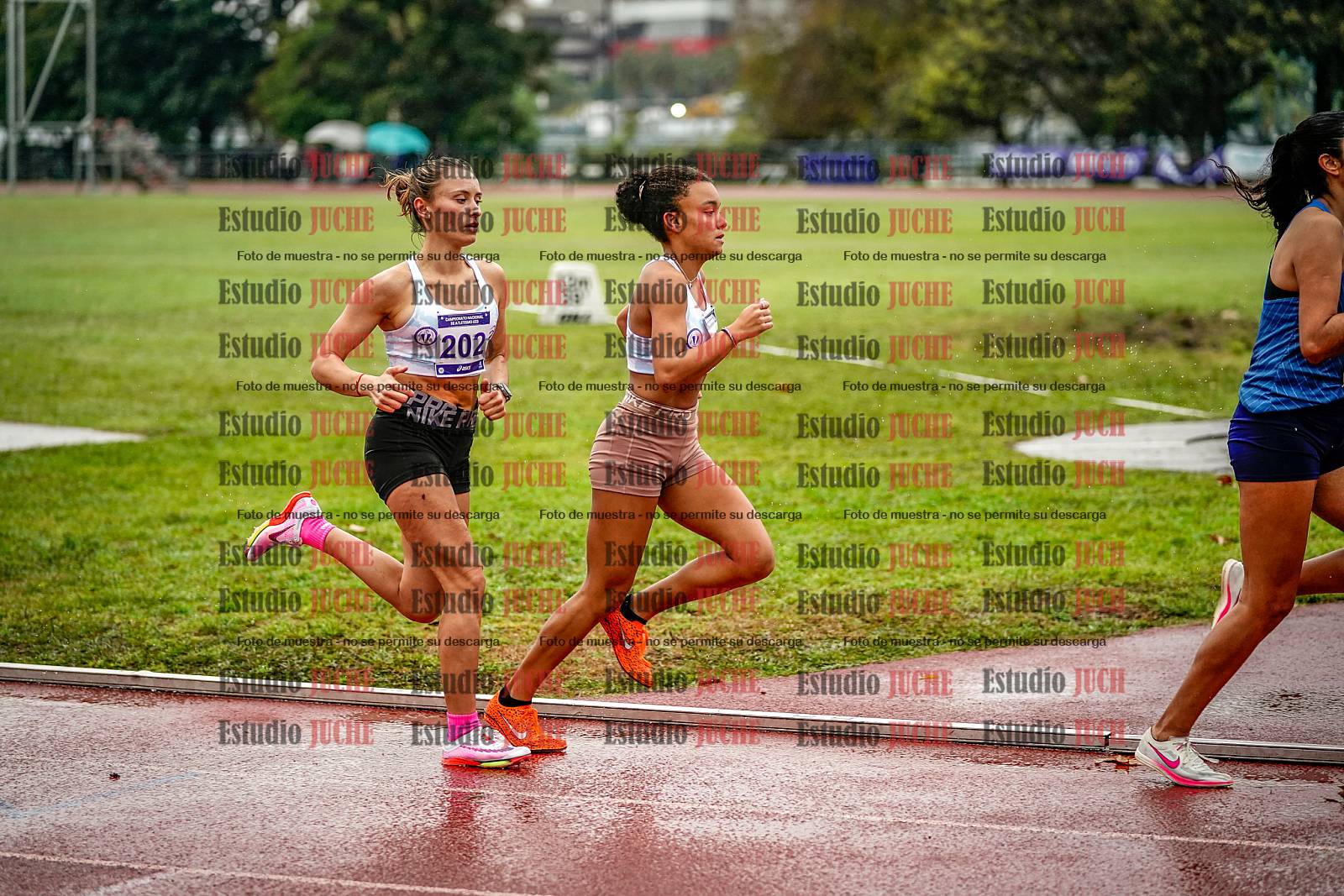 Fotos de los 1500 m llanos de mujeres