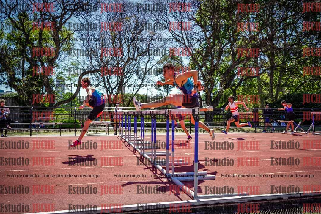 Fotos de los 110 m con vallas de varones