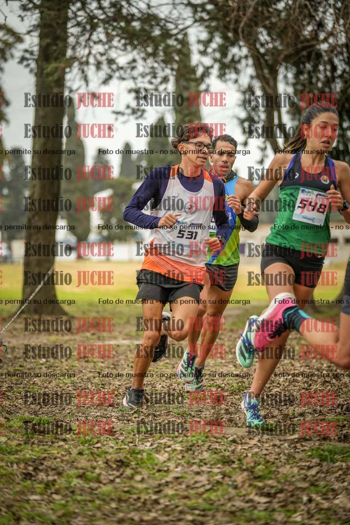 Fotos en el circuito