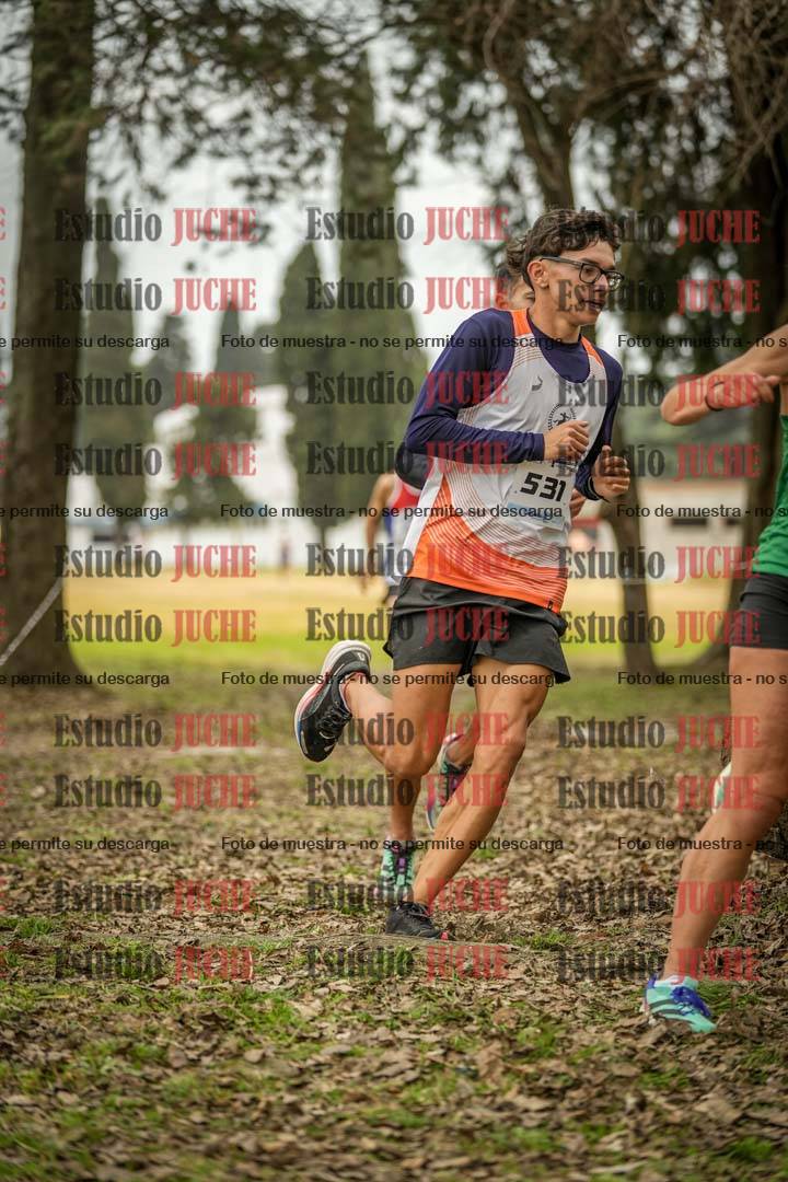 Fotos en el circuito