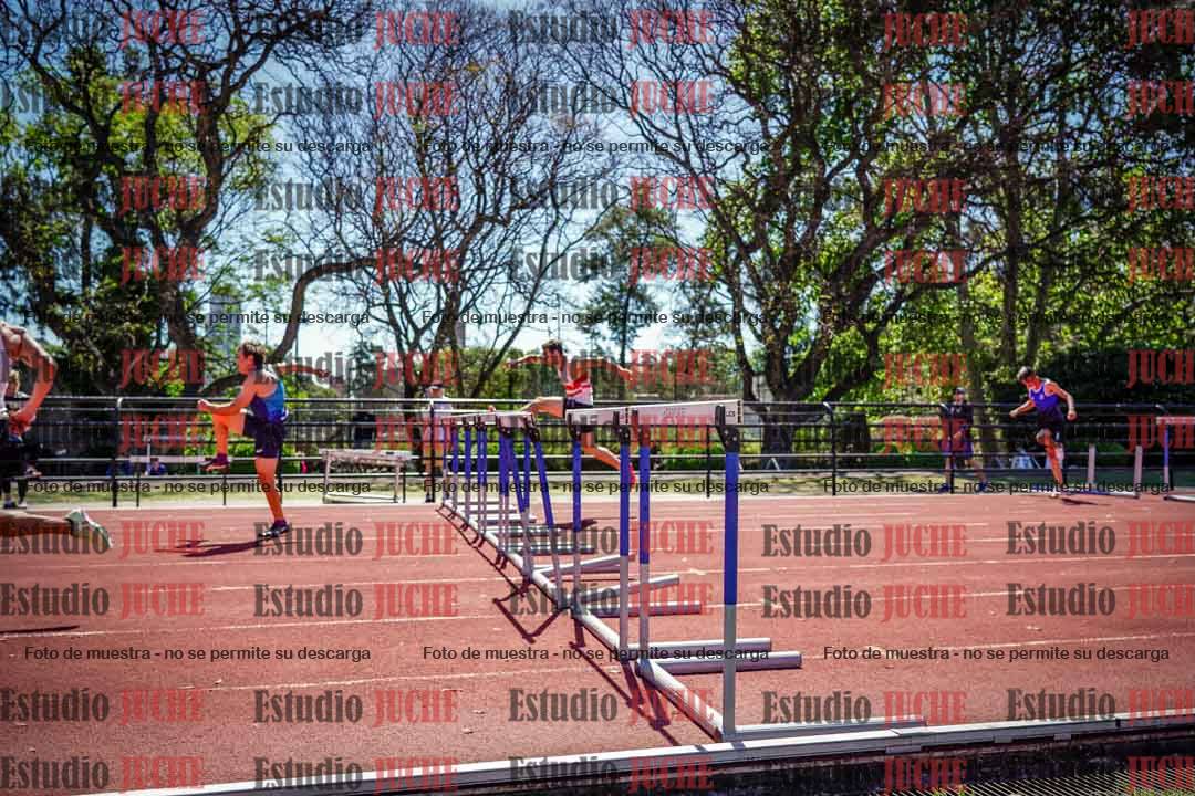 Fotos de los 110 m con vallas de varones