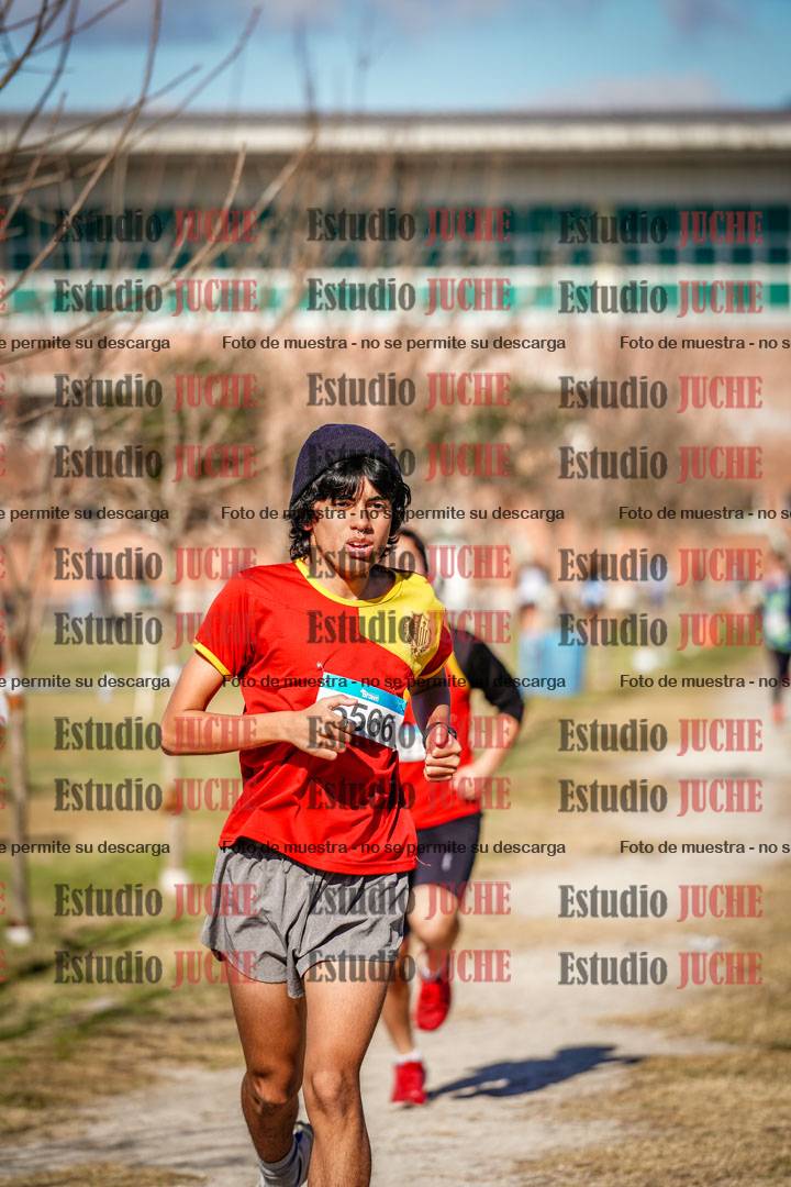 Fotos en el circuito