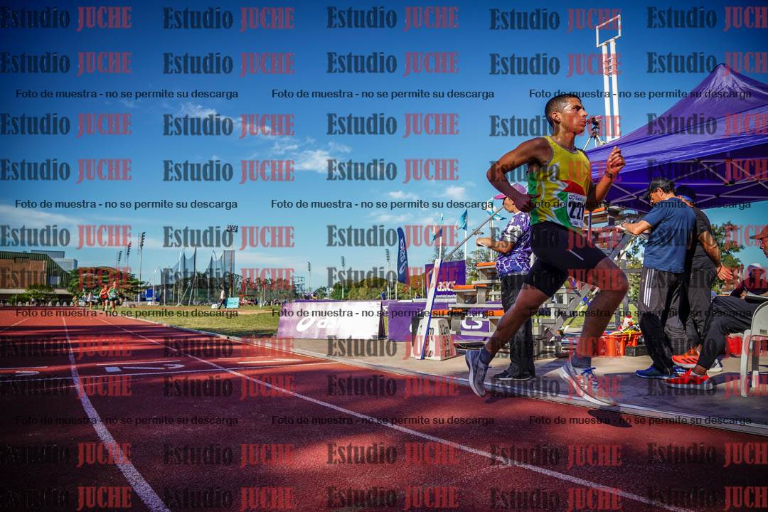 Fotos de los 5000 m llanos de varones