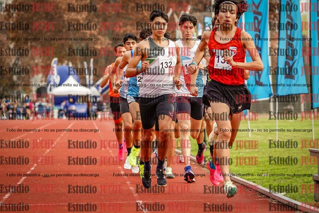 Fotos de los 1500 m llanos de varones