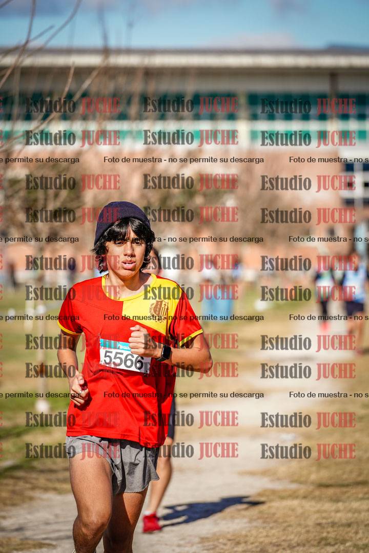 Fotos en el circuito