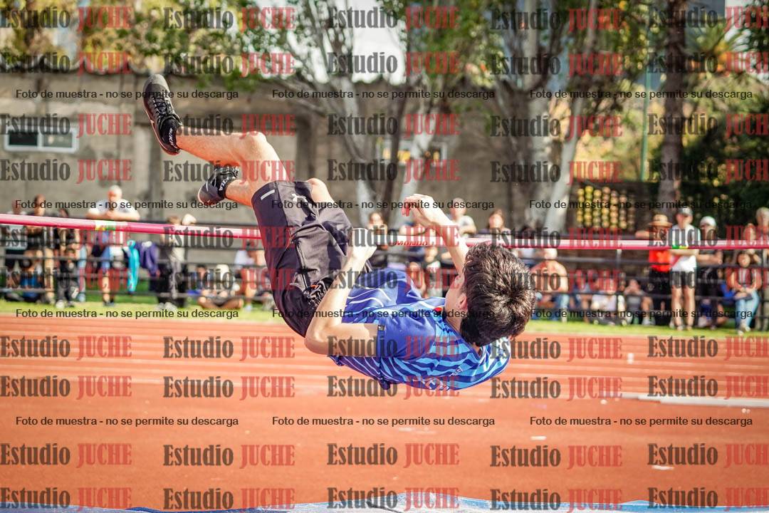 Fotos del salto en alto de varones