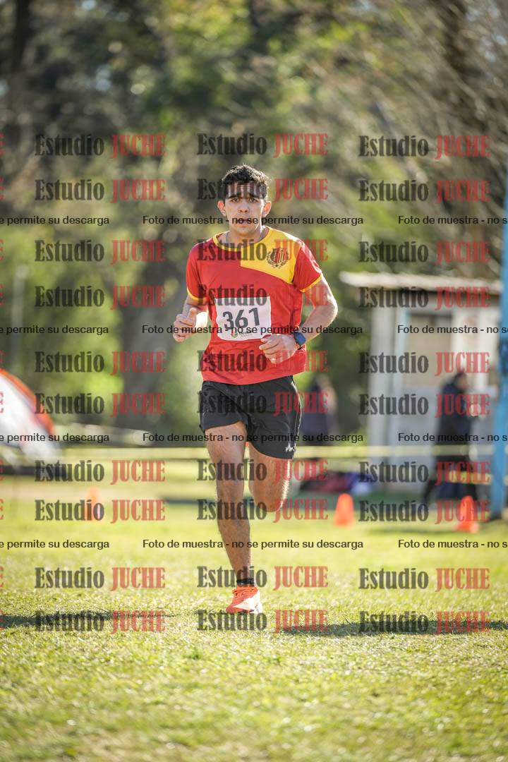 Fotos de la llegada del cross de 8000 m