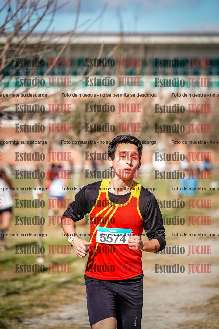 Fotos en el circuito