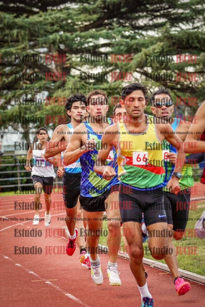 Fotos de los 1500 m llanos de varones