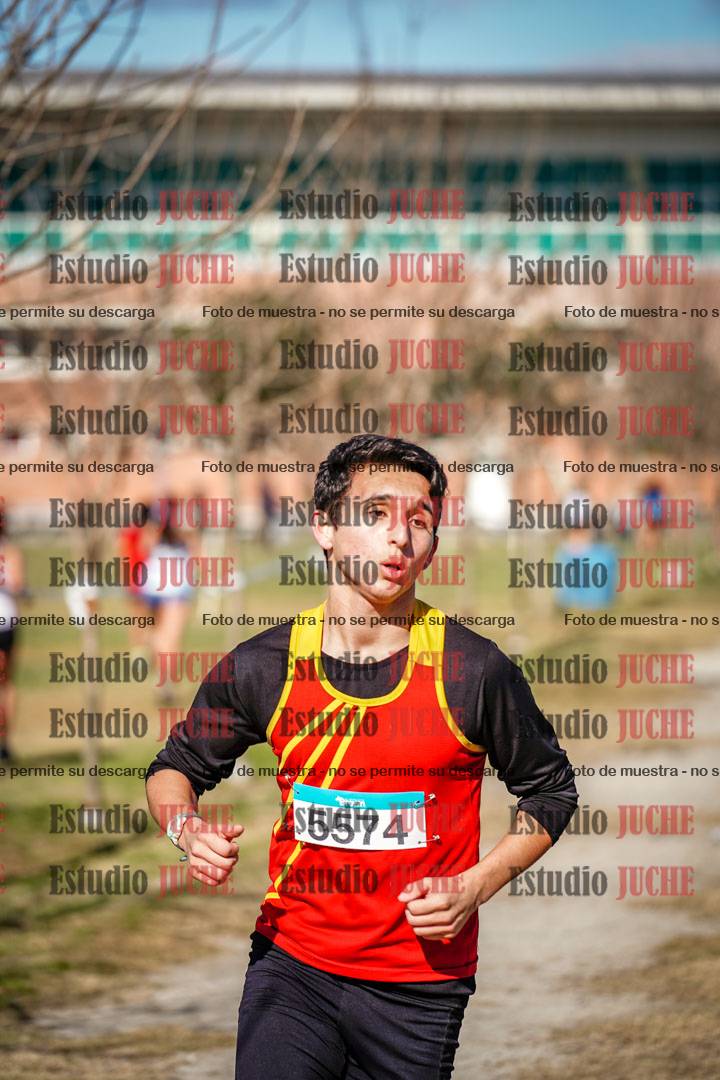 Fotos en el circuito